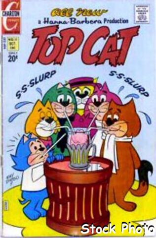 Top Cat v2#13